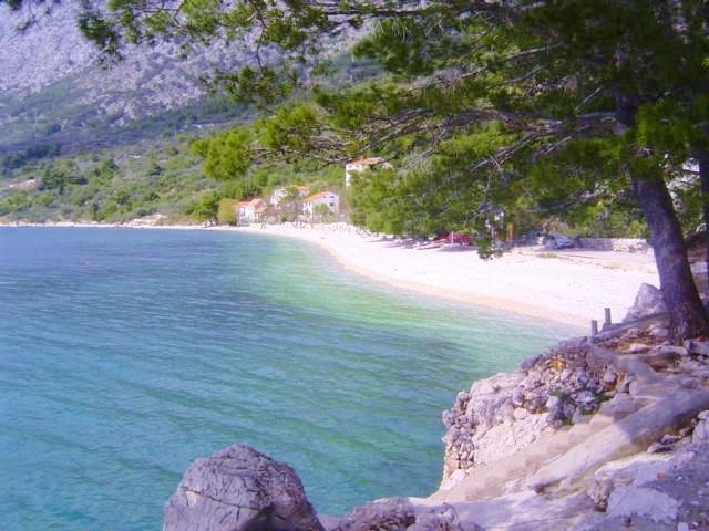 Apartment Jelas Živogošće Δωμάτιο φωτογραφία