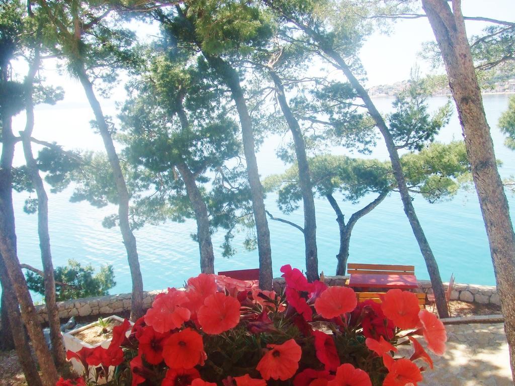 Apartment Jelas Živogošće Δωμάτιο φωτογραφία