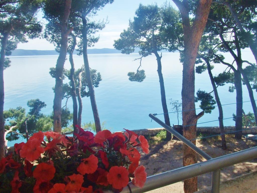 Apartment Jelas Živogošće Δωμάτιο φωτογραφία
