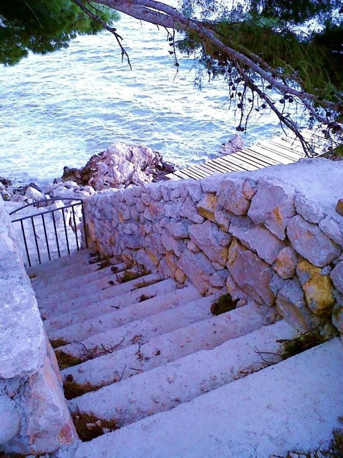 Apartment Jelas Živogošće Εξωτερικό φωτογραφία