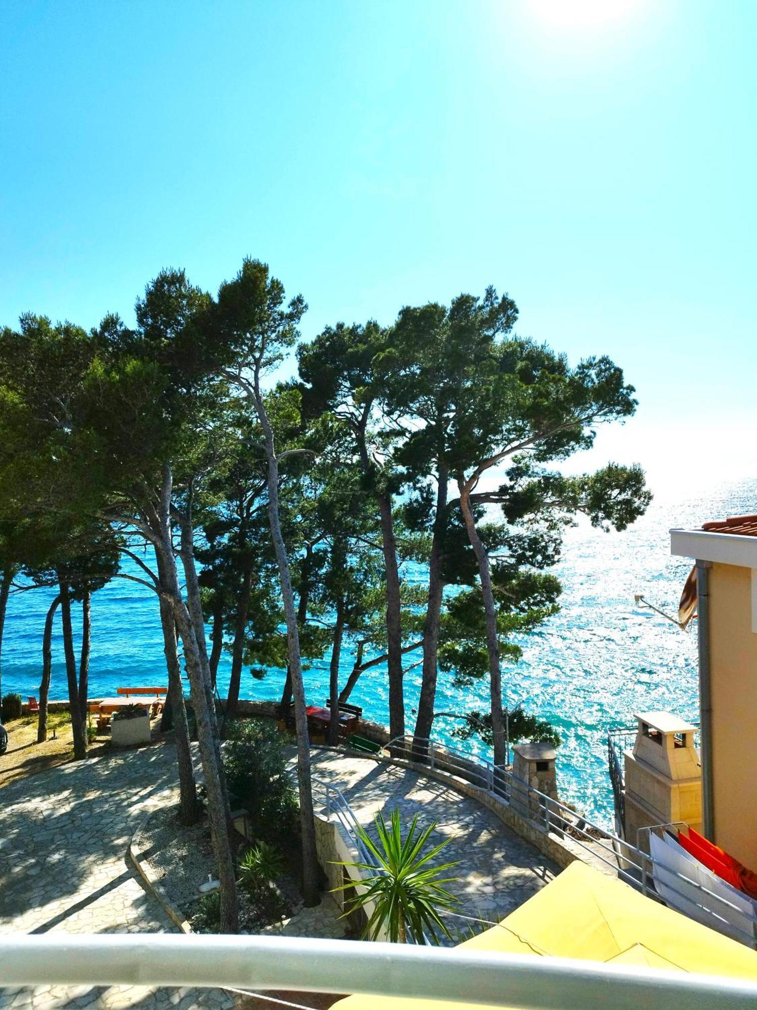 Apartment Jelas Živogošće Εξωτερικό φωτογραφία