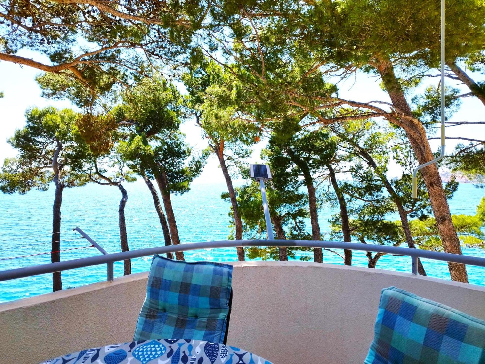 Apartment Jelas Živogošće Εξωτερικό φωτογραφία