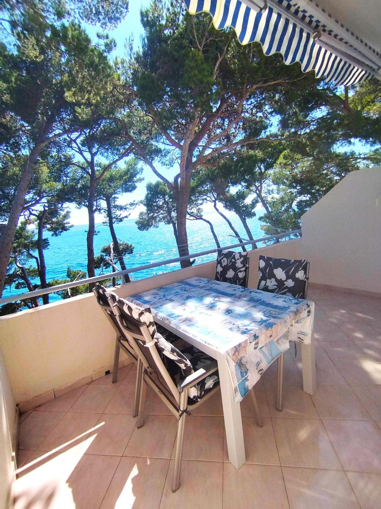 Apartment Jelas Živogošće Εξωτερικό φωτογραφία